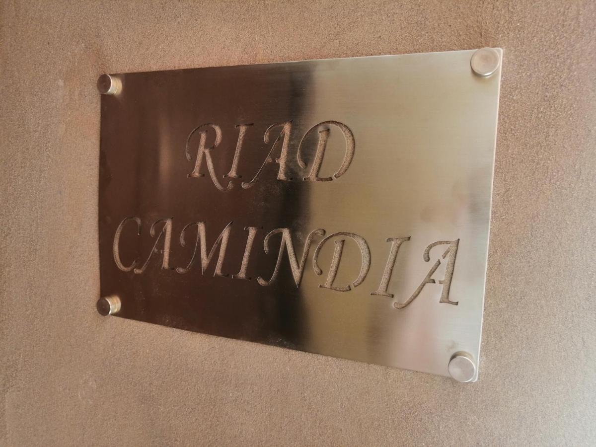 Riad Camindia Marrakesh Ngoại thất bức ảnh